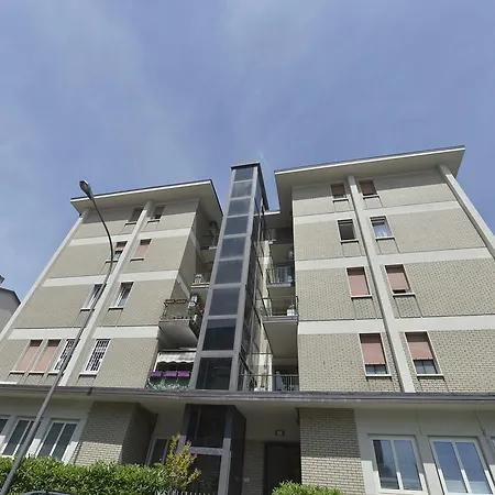 Ur-nest Vestri - Golden *